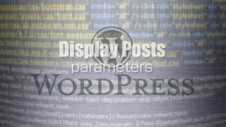 Display Postsのパラメータ一覧！任意の記事の呼び出し表示！newsで使うプラグイン用