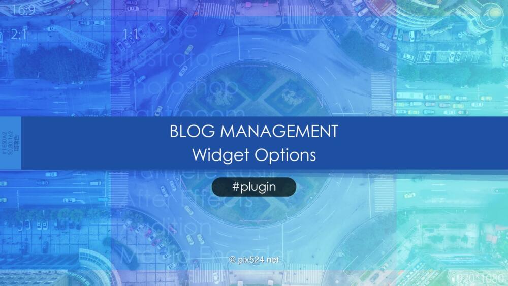 Widget Optionsスマホ・タブレット・PCで表示切替！